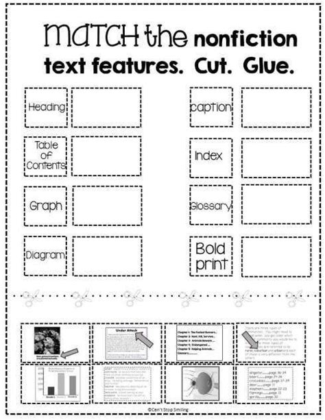 text and graphic features worksheet 2nd grade